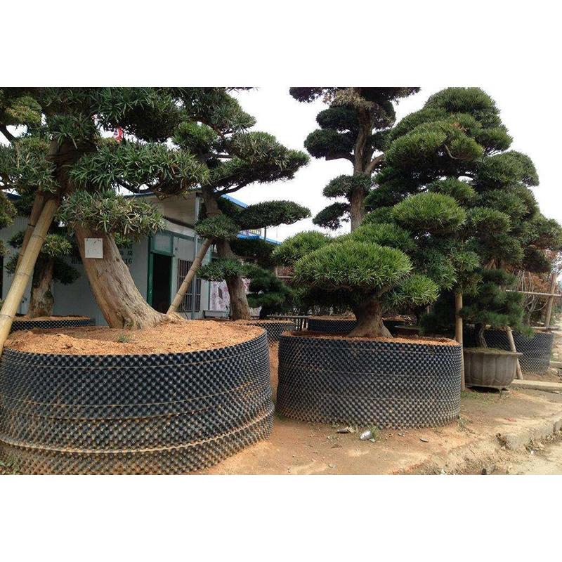 PVC Air Root Pruning Pots for Trees Flower Vegetables Fruits Planting Container Cultivation in Home/Garden/Farming/Greenhouse/Field