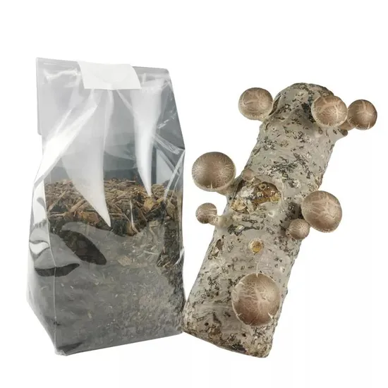 Autoclavable Plastic Mushroom Mycelium Grow Filter Bags